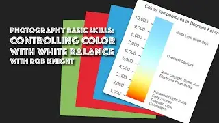 Photography Basic Skills: White Balance and Color