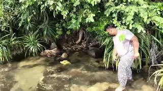stone collected for my fish tank
