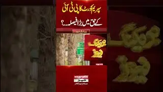 Supreme Court Delivers Major Verdict in PTI&rsquo;s Favor | Breaking News | Pakistan News