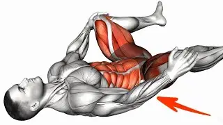 4 Best Exercise for Overall Strong Pelvic Muscle