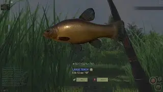 Finland Tench Tutorial