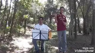 Any man of mine (Composers: Shania Twain / Robert Lange) Violin and guitar