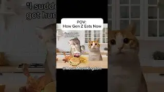 CAT MEMES🐱 POV: How Gen Z Eats Now