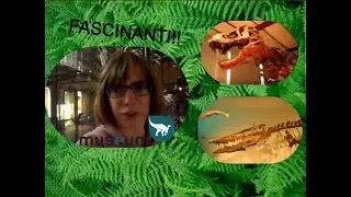 Je vous emm&egrave;ne avec moi au Mus&eacute;e des Sciences Naturelles de Bruxelles [VLOG/LIFESTYLE]🦖🦕☄