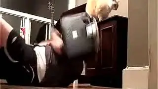 Кот убийца