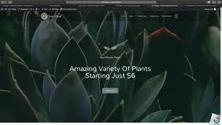 Install free and premium Wordpress themes. (Astra theme, Divi theme) |Wordpress Tutorial 2019 | 2020