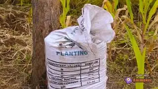 Wondering what your alternative organic fertilizer to use in your next planting season ??