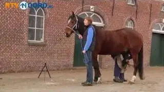 'Deurgoan' lijfspreuk van 74-jarige hoefsmid