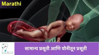 NORMAL LABOR & VAGINAL BIRTH | Marathi
