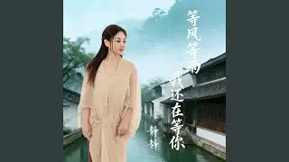 等风等雨我还在等你
