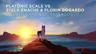 Platonic Scale vs. Stela Enache & Florin Bogardo - Ce Simti Cand Esti Indragostit