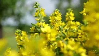 Test 5D3 + 24-70 2.8 L