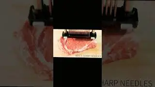 Meat Tenderizer with 48 stainless steel ultra sharp neadle blades #youtubeshorts #ytshorts