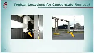Condensate Removal from Steam Lines is Critical
