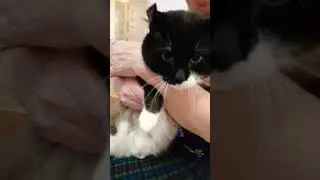 милый кудряшка