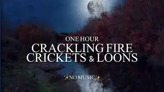 Crackling Campfire, Lots of Night Bugs, & Loons Calling At Night - {1 Hour} *No Music*