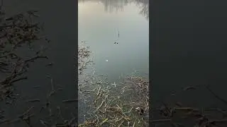 Случай на рыбалке [ эпизод #1] Once on a fishing trip. Episode #1