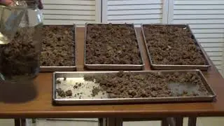 Freeze Drying With John In Bibs 10 lbs Ground Beef Sirloin Ep9