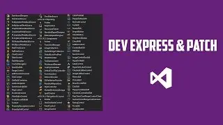 DEV EXPRESS & PA*CH 2017 [VB.NET]