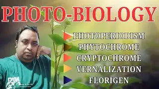 Photobiology and flowering plants @Harun-biozone
