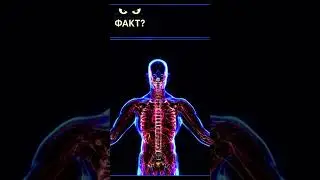 Факт дня!! А ви знали про це?? 🤔😱 #факт #facts #2025 #viral #top #вірусне #тренд #psychology