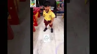 Shapes recognition activity 