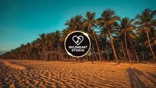 Relaxing Aqua Paradise &ndash; Peaceful 1 Hour Beach Loop