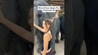 Must-Have Apps for Traveling Thailand 🇹🇭✨