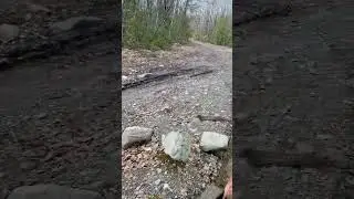 Mud Dog ATV Elliot Lake poker run. September 2023