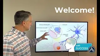 Welcome to TMS Success: (Transcranial Magnetic Stimulation)