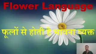 Flower Language फूलों से होती है भावना व्यक्त