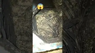 Grinder Machine Vibration 😱 Motor Bolt Coil Par Gir Gaya | Motor Short & Flash 🔥 Real Fault