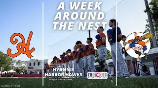 A Week Around the Nest: Episode 2