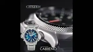 reloj profesional inmersiones.
