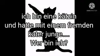 Welche Katze ist Gemeint? (Staffel 1 + Mega Easy)