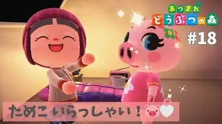 【あつ森】ためこを呼ぶぞ！#18 【あつまれどうぶつの森：Animal Crossing: New Horizons】