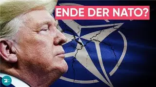 Trump testet Grenzen des V&ouml;lkerrechts - Kann er die NATO zerst&ouml;ren? | EXKLUSIV