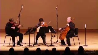 Schubert's String Trio in B-flat - The Aspen String Trio