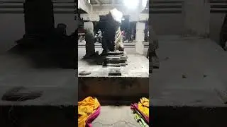nandi devar #lord shiva #tiruvannamalaivlogs