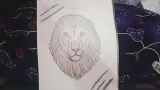 Lion Face Sketch #Aniee's art