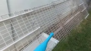Homemade Coyote Trap