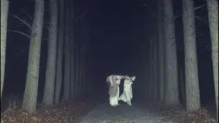 Kiki Rockwell - Seven Angels Greet Me In The Carpark (Official Music Video)