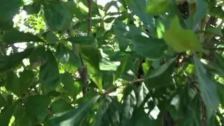 Unique Geocache: 