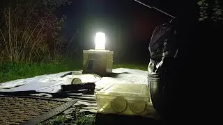 Отлов моли &mdash; Гэмстон Вуд, 7 октября 2025 г.