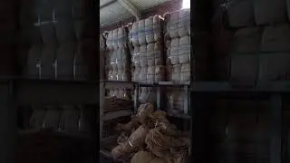 Supply Used Jute Bags in bulk.www.usedjutebag.com,☎️#84903864149 whatsapp, #usedjutebag,#gunnybag