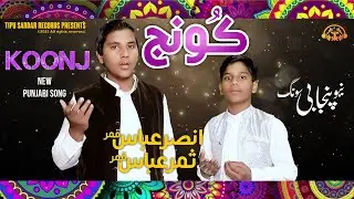 KOONJ - ANSAR ABBAS QAMAR | SAMAR ABBAS QAMAR | LATEST PUNJABI SONG | TS RECORDS 2023