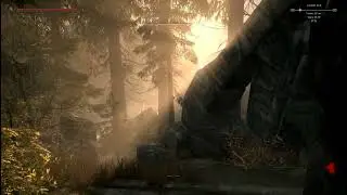 Fabled Forests and Community Shaders on the Gronkstation