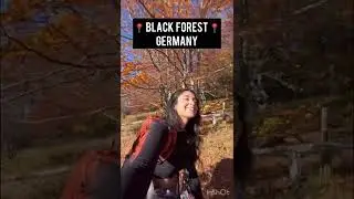 I went for a hike in the Black Forest | Germany | #shorts #youtubeshorts #travel #tiktok #trending