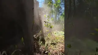 I cut small trees faster than you tackle big ones! #logging