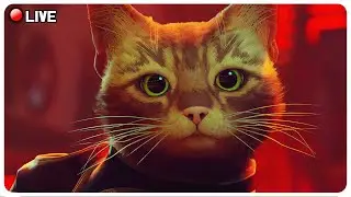 Is This the Purr-fect Game? pt 2  | Stray FIRST TIME Playing